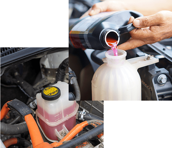 male hand filling car cooling system with coolant, Reservoir bottle of a car radiator coolant